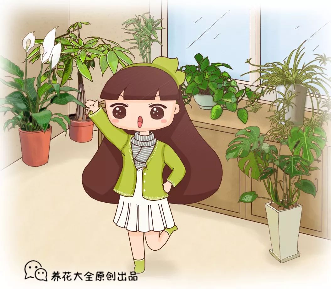 收藏 | 室內(nèi)養(yǎng)花，記住這5點，養(yǎng)活1000盆花