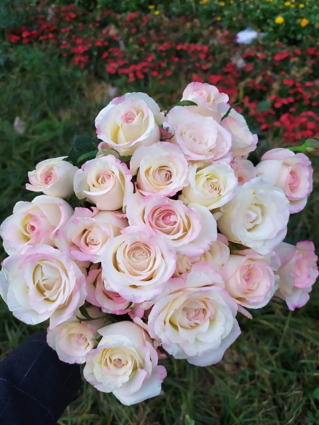 鮮花如何醒花兒_鮮花醒花怎么處理_鮮花醒花后怎么儲(chǔ)存