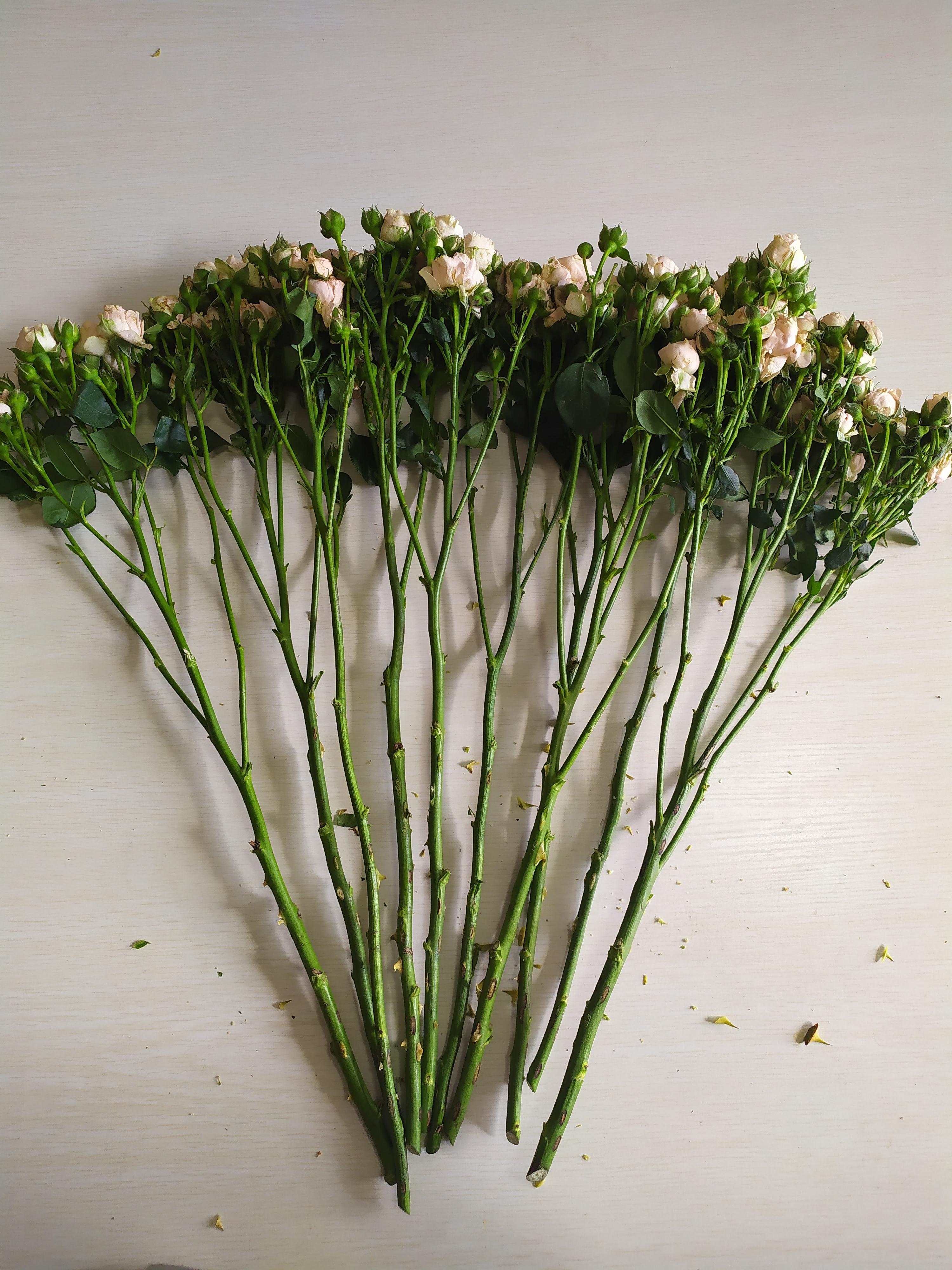 鮮花如何醒花兒_鮮花醒花后怎么儲(chǔ)存_鮮花醒花怎么處理