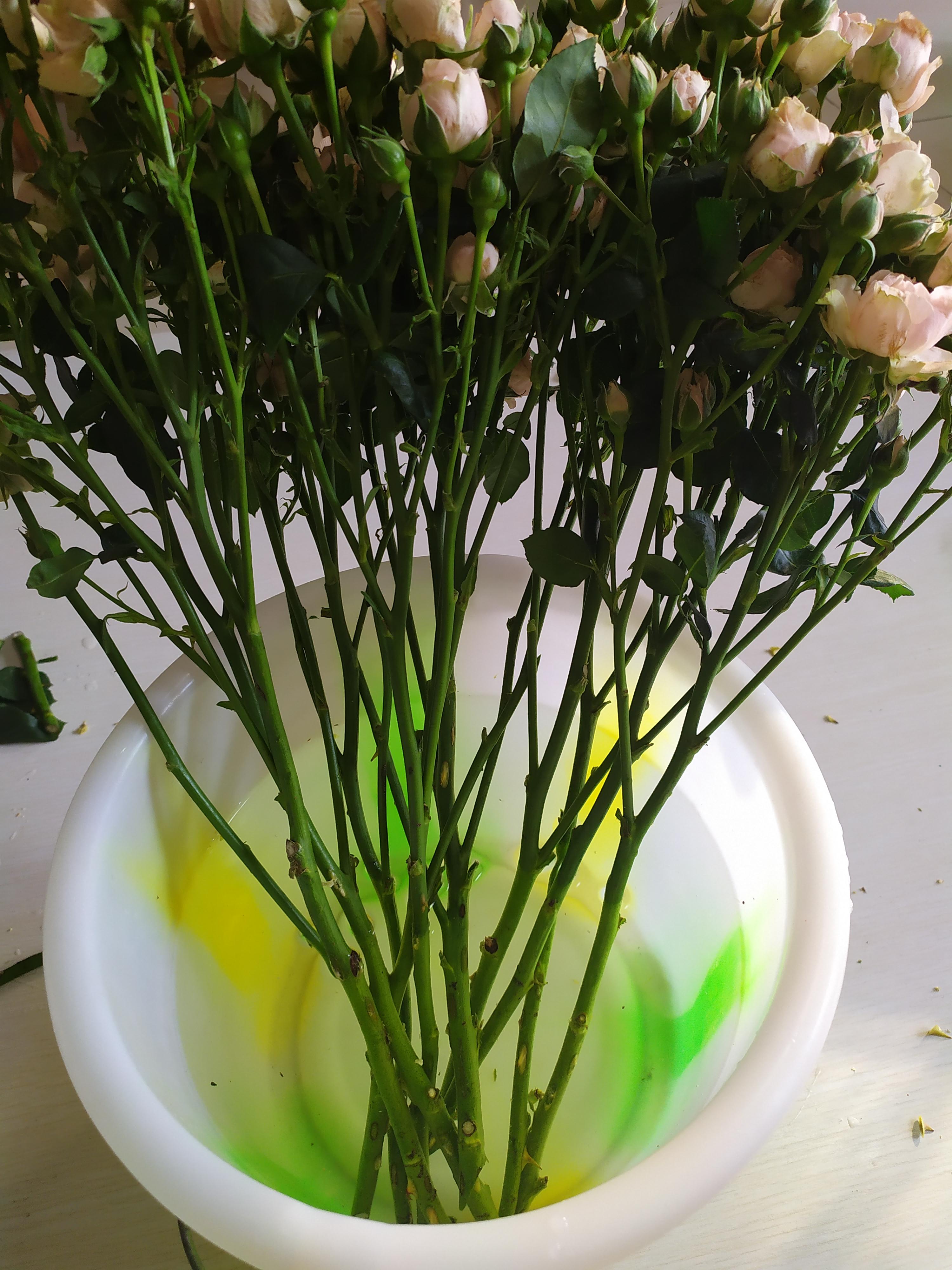 鮮花醒花后怎么儲(chǔ)存_鮮花醒花怎么處理_鮮花如何醒花兒