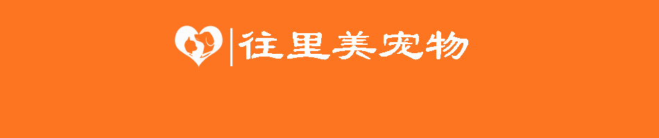 貓咪的發(fā)育階段與人類年齡的對(duì)比是怎樣的？