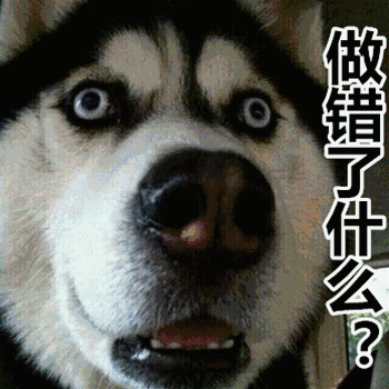 被家養打疫苗的狗抓破了_被寵物狗抓破皮了需要打疫苗嗎?_被注射疫苗的狗狗抓破皮