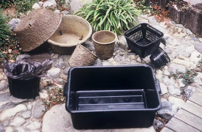 花卉室內養品種容易生蟲嗎_容易養的室內花卉品種_花卉室內養品種容易招蚊子嗎
