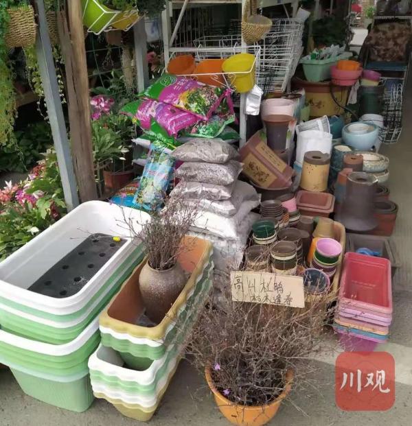 2020年成都花卉市場_成都花卉市場的貨源在哪里進的_成都花卉市場