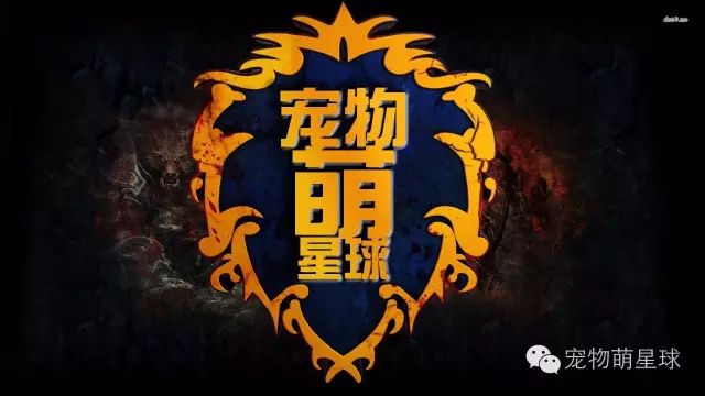 多大狗狗可以驅蟲_狗多大_多大狗可以洗澡