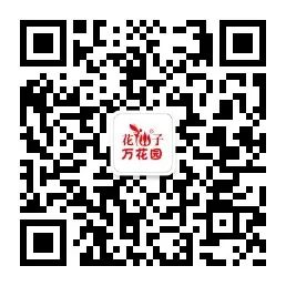 水養(yǎng)花有蚊子怎么辦_水養(yǎng)花有那些種內好養(yǎng)又漂亮_用水養(yǎng)的花有哪些