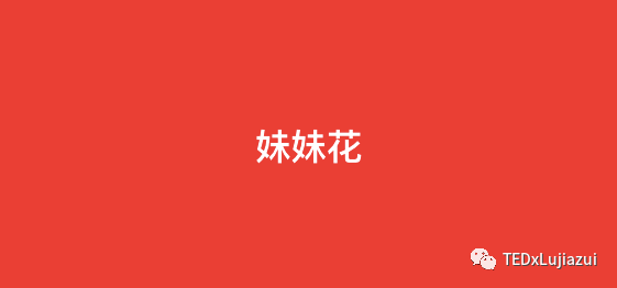 <strong>情人節｜女生該送男生什么花？</strong>