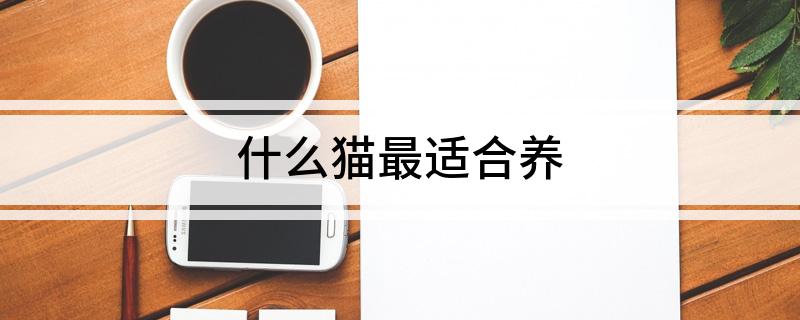 什么貓最適合養