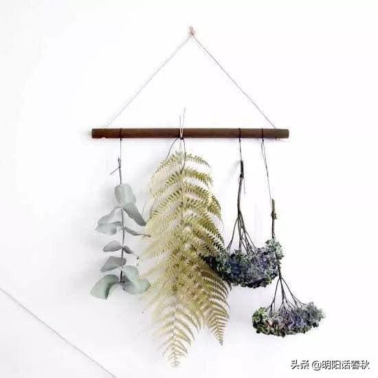 鮮花做成干花方法有哪些_鮮花做成干花方法圖片_鮮花做成干花的方法