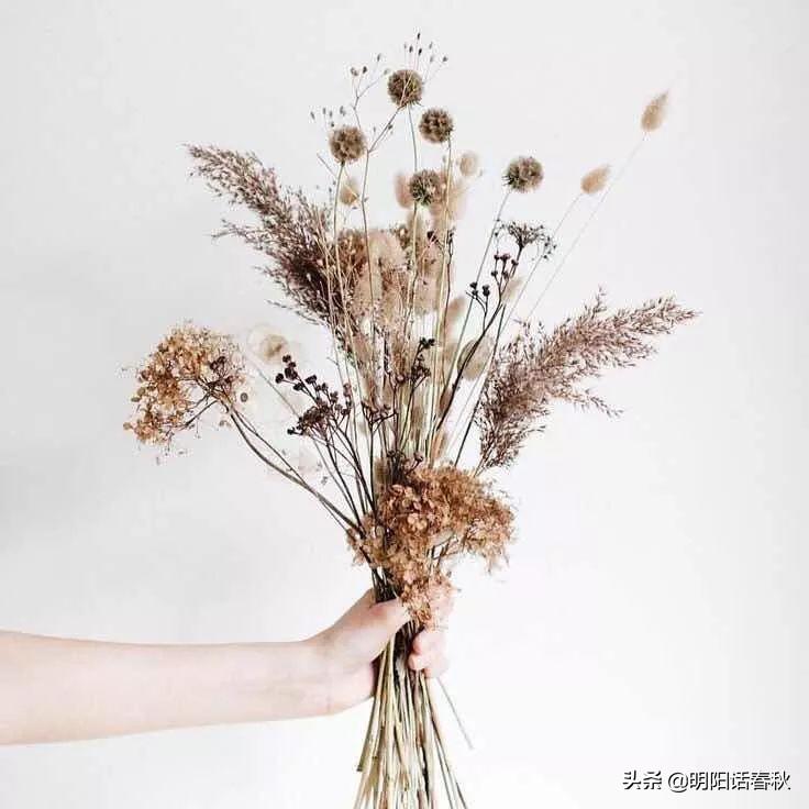 鮮花做成干花的方法_鮮花做成干花方法圖片_鮮花做成干花方法有哪些