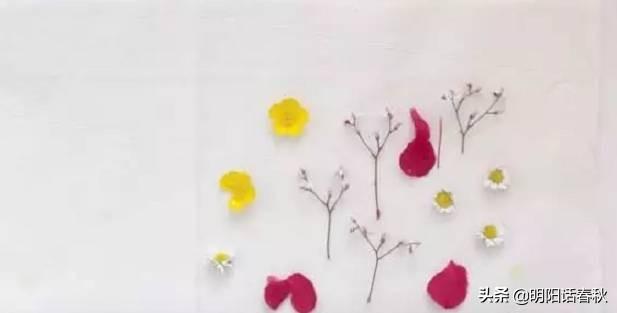 鮮花做成干花的方法_鮮花做成干花方法圖片_鮮花做成干花方法有哪些