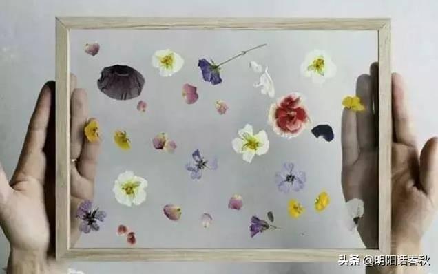 鮮花做成干花方法有哪些_鮮花做成干花方法圖片_鮮花做成干花的方法