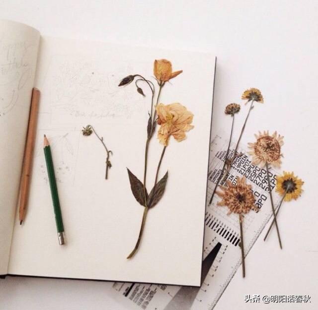 鮮花做成干花的方法_鮮花做成干花方法圖片_鮮花做成干花方法有哪些