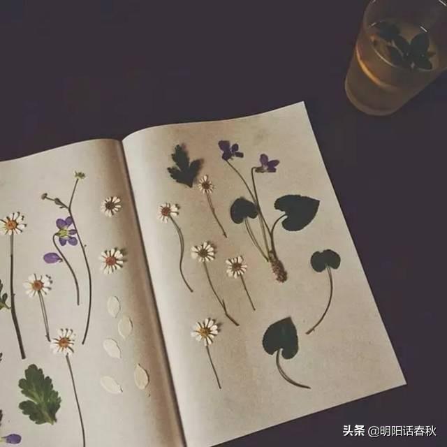 鮮花做成干花的方法_鮮花做成干花方法圖片_鮮花做成干花方法有哪些