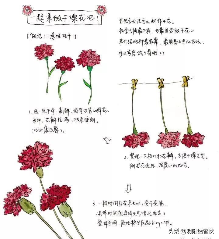 鮮花做成干花方法有哪些_鮮花做成干花方法圖片_鮮花做成干花的方法