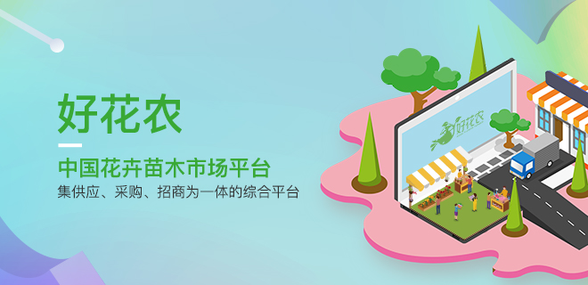 冬季養綠植適合什么花_冬天養什么綠植比較容易存活_適合冬季養的綠植