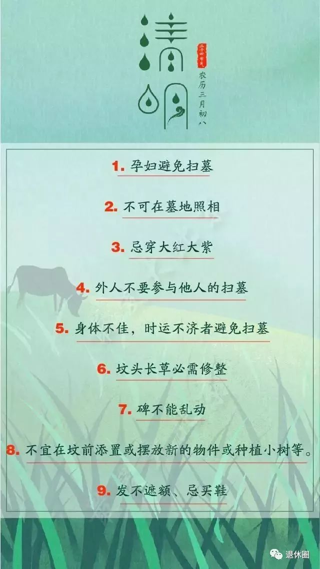 清明節送什么花好_清明節送啥花_清明節送的花是什么花