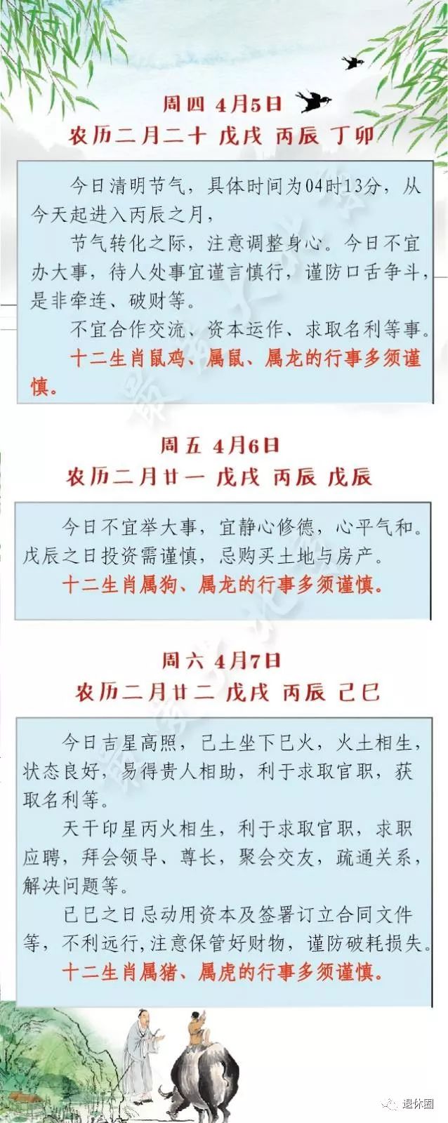 清明節送什么花好_清明節送的花是什么花_清明節送啥花