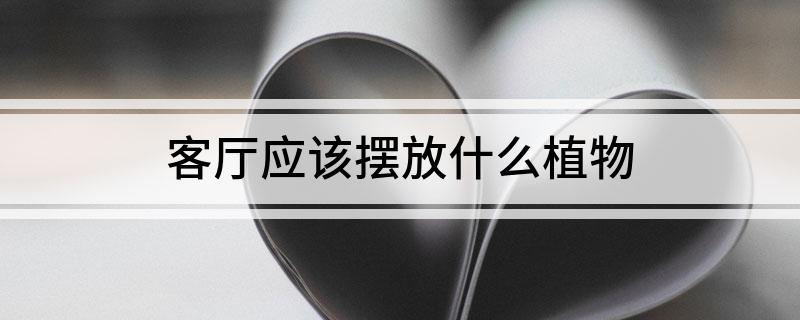 客廳應該擺放什么植物