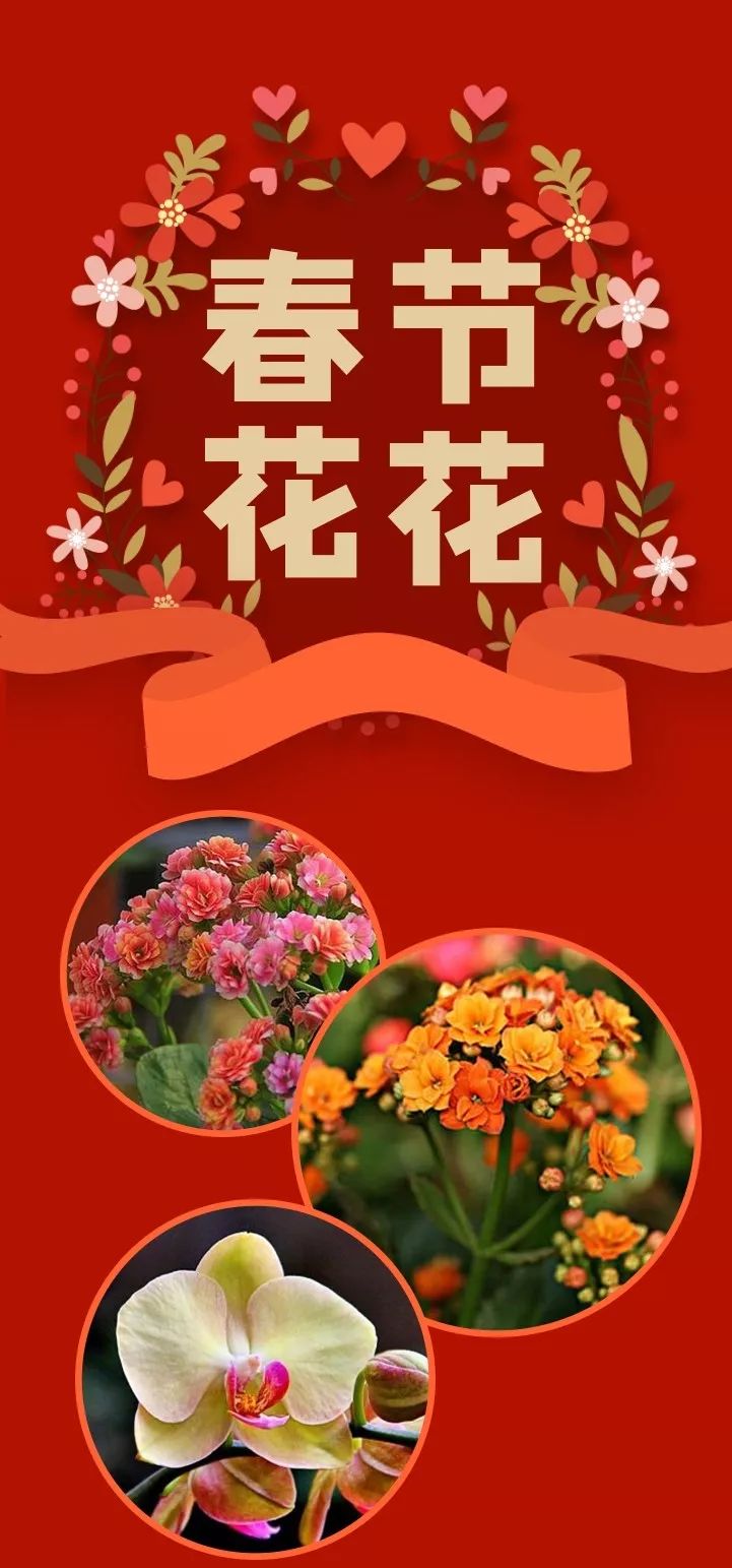 仿真花卉批發市場地址_花卉批發中心_花卉基地批發在哪里