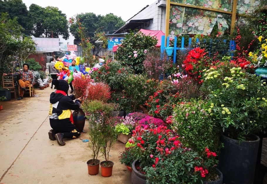 花卉批發中心_花卉基地批發在哪里_仿真花卉批發市場地址