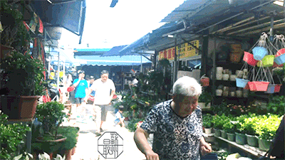 花卉批發中心_花卉基地批發在哪里_仿真花卉批發市場地址