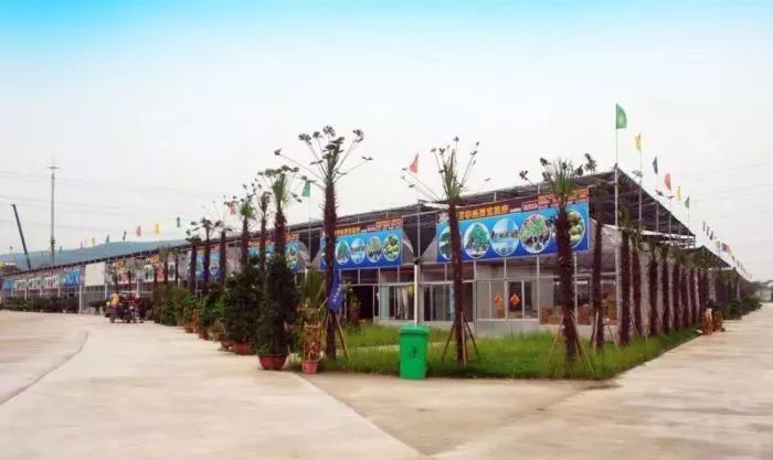 花卉批發中心_仿真花卉批發市場地址_花卉基地批發在哪里