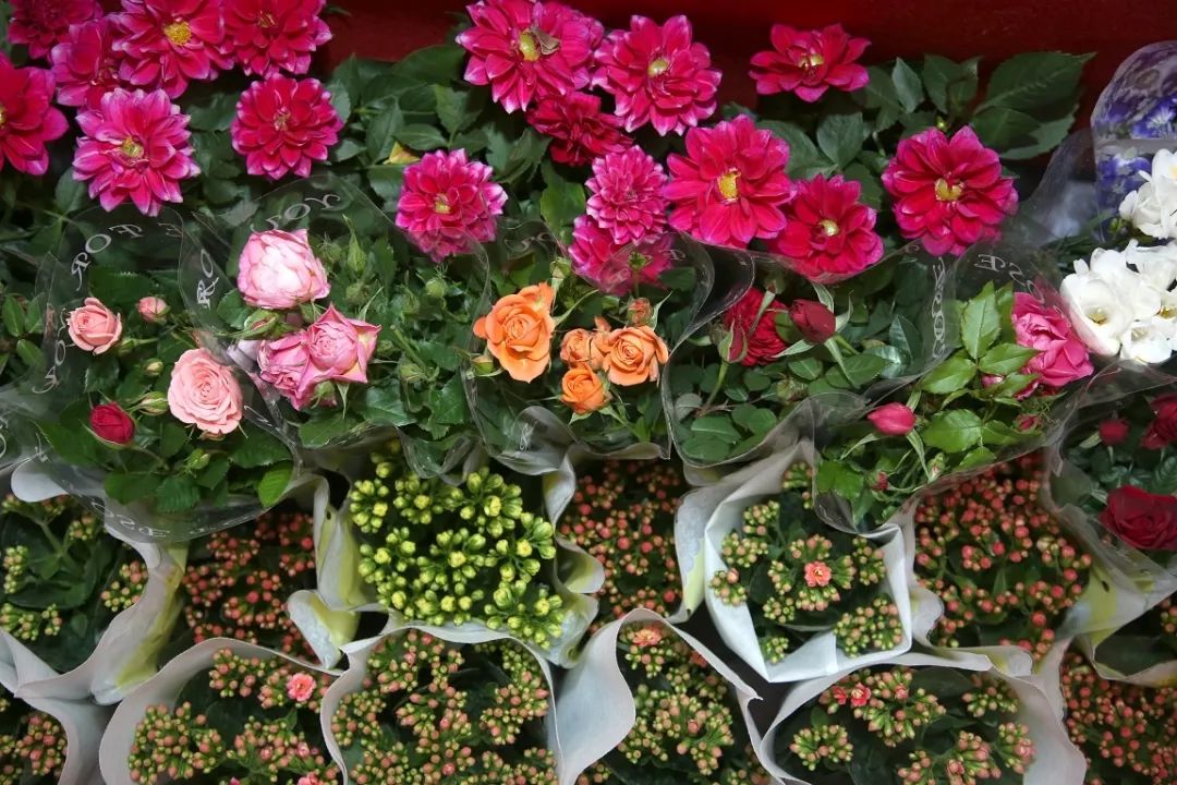 花卉基地批發在哪里_花卉批發中心_仿真花卉批發市場地址