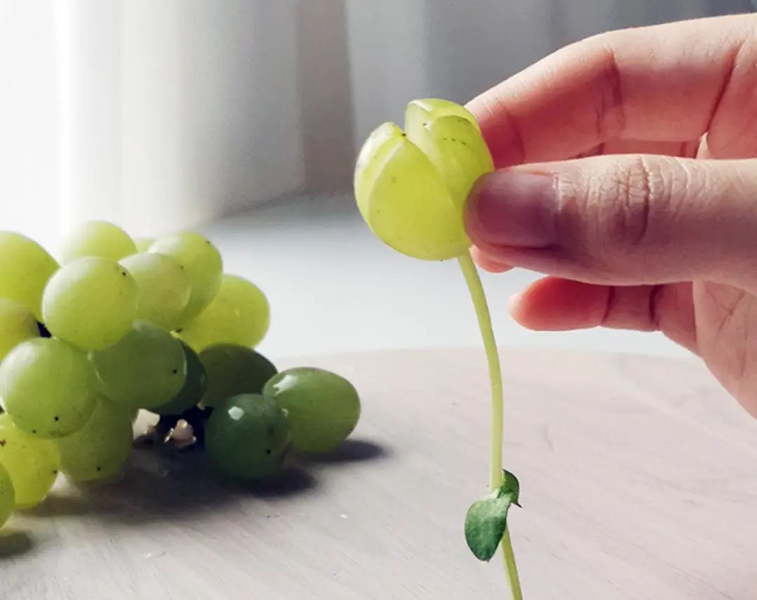 可以吃的浪漫花束_花束浪漫文案_花束浪漫夢(mèng)幻圖片