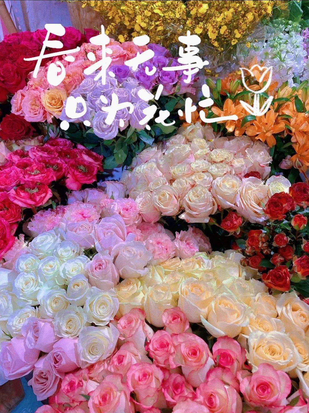西安必逛寶藏花市攻略！不需花太多錢，10塊錢就能買走一個春天！