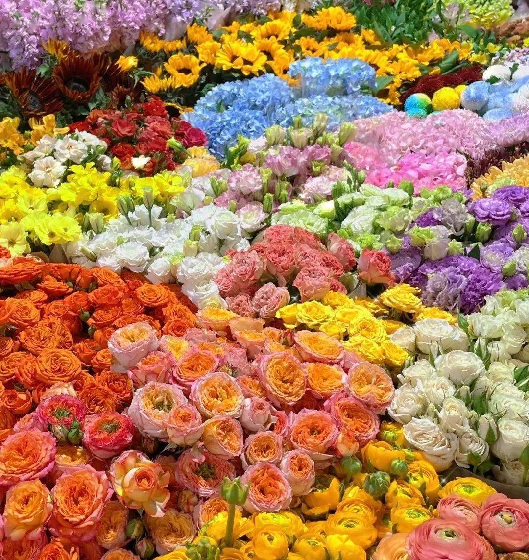 2021年西安花卉市場_西安花卉市場_西安花卉市場行情