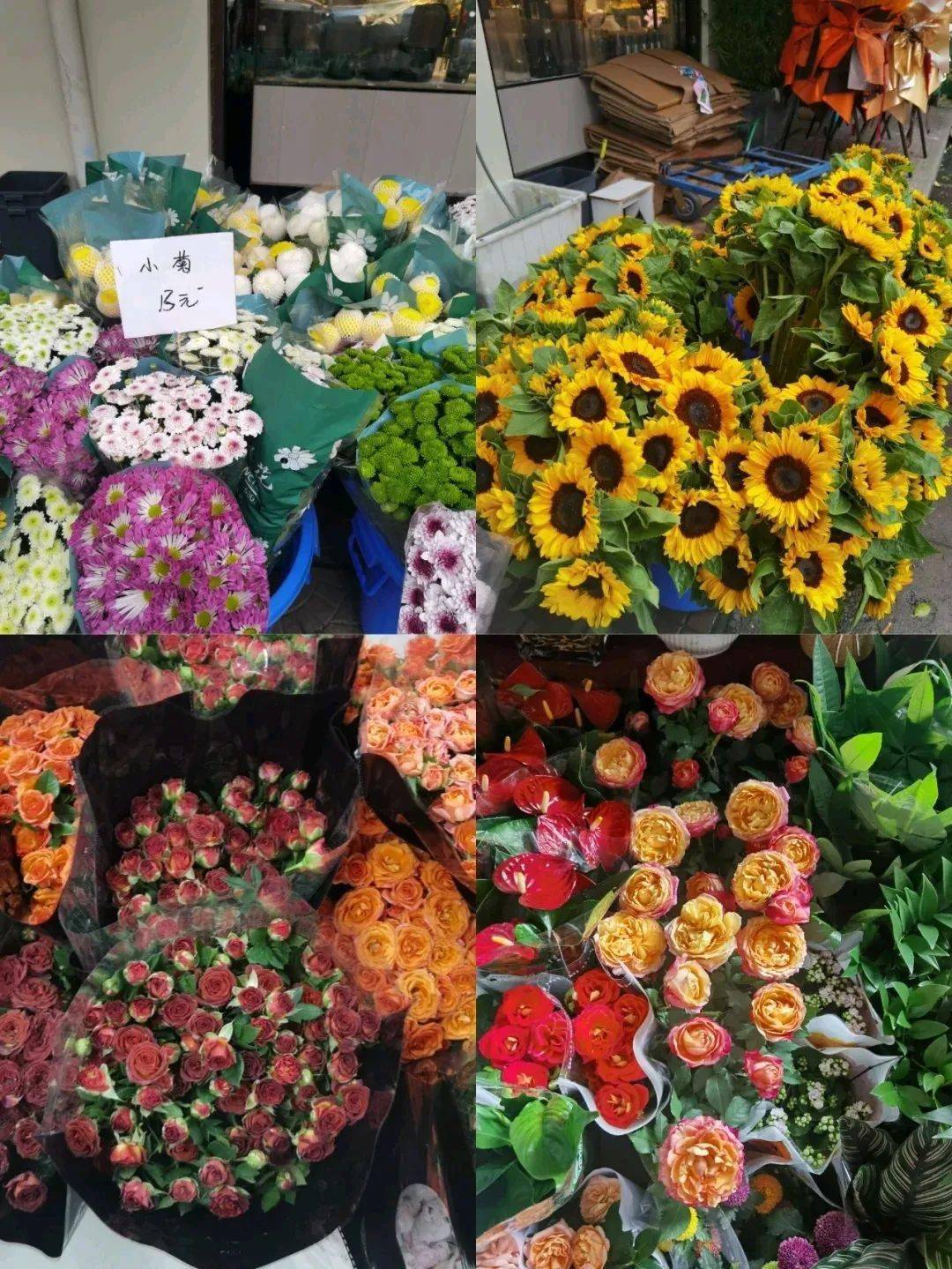 2021年西安花卉市場_西安花卉市場行情_西安花卉市場