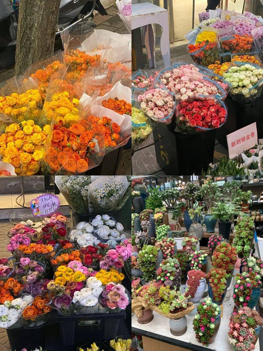 西安花卉市場_2021年西安花卉市場_西安花卉市場行情