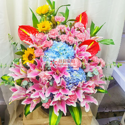 送姐姐生日花選哪種_送給姐姐生日的花買什么好_生日送姐姐什么花寓意比較好