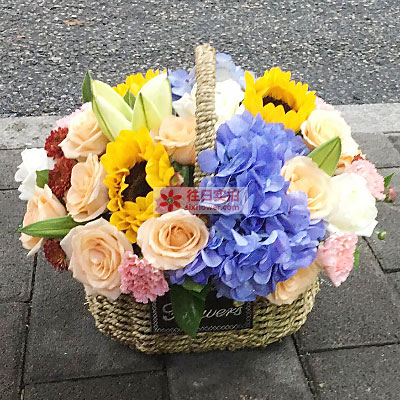 送給姐姐生日的花買什么好_送姐姐生日花選哪種_生日送姐姐什么花寓意比較好